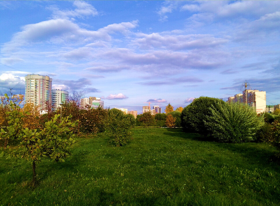 В городском парке осенью