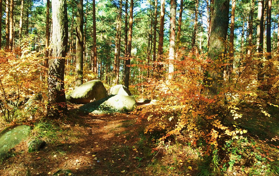 Осень, лес и камни