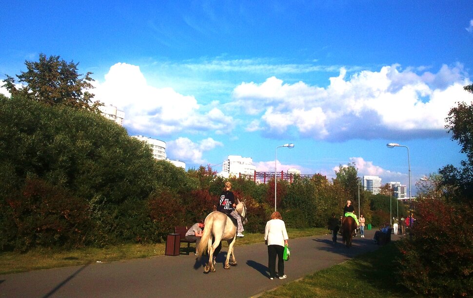 В парке в сентябре
