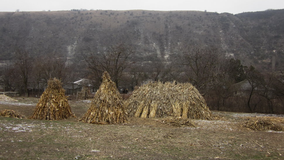 молдавский декабрь