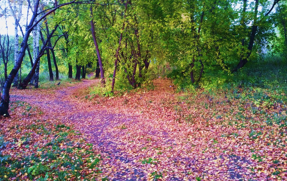 Осенний пейзаж