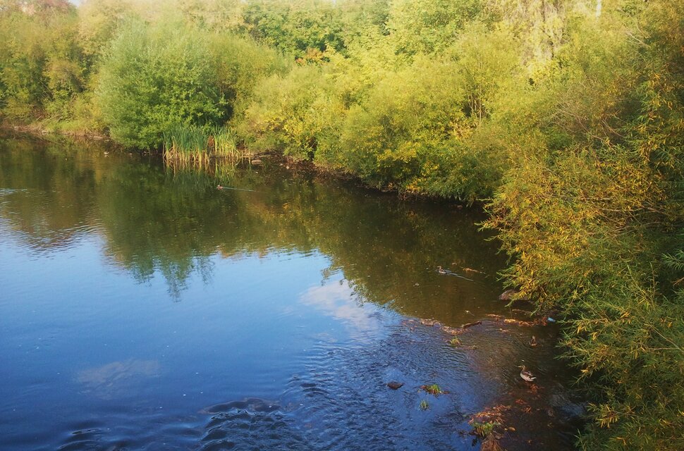 Осенью у реки