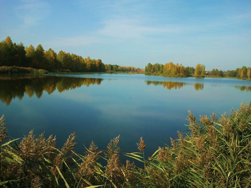 У осенней реки