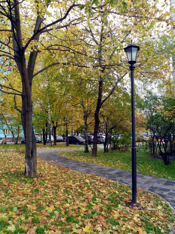 Осенняя Москва, Любимая столица