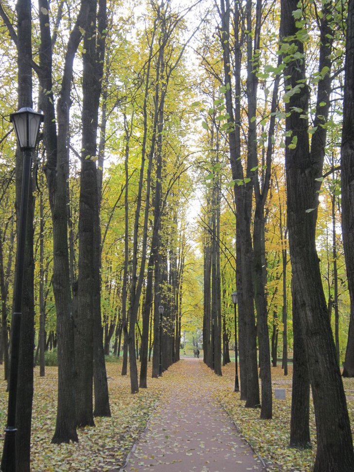 Осенью в парке Михалково