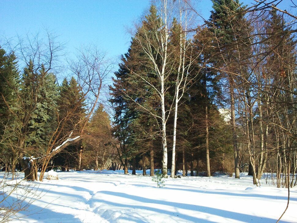 По свежему снежку