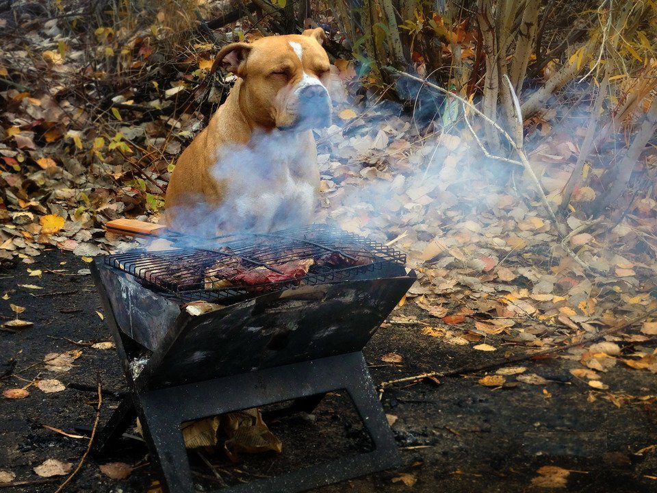 Приятный запах