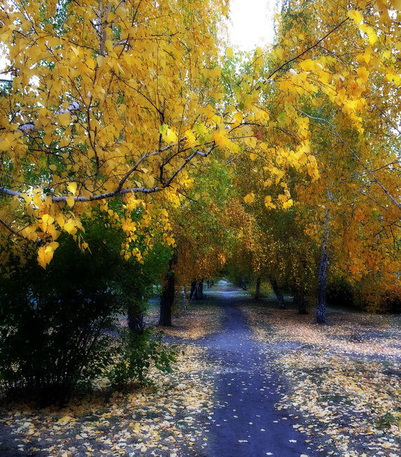 осенние зарисовки