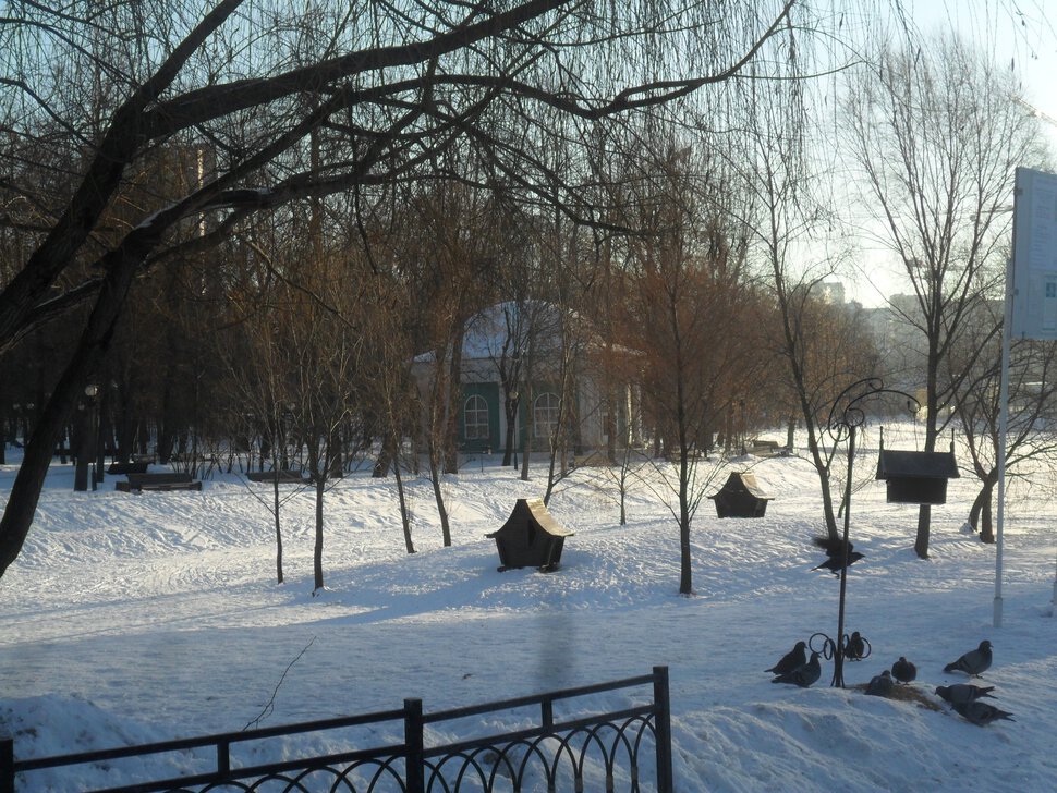Парковая Роща у реки Напрудной-Екатерининский Парк
