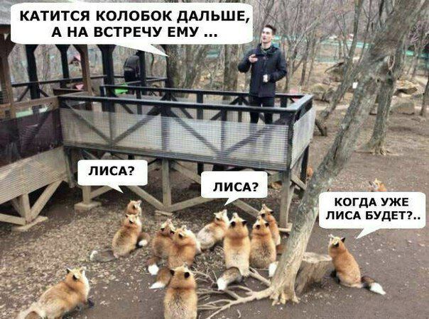 Сказка про колобка