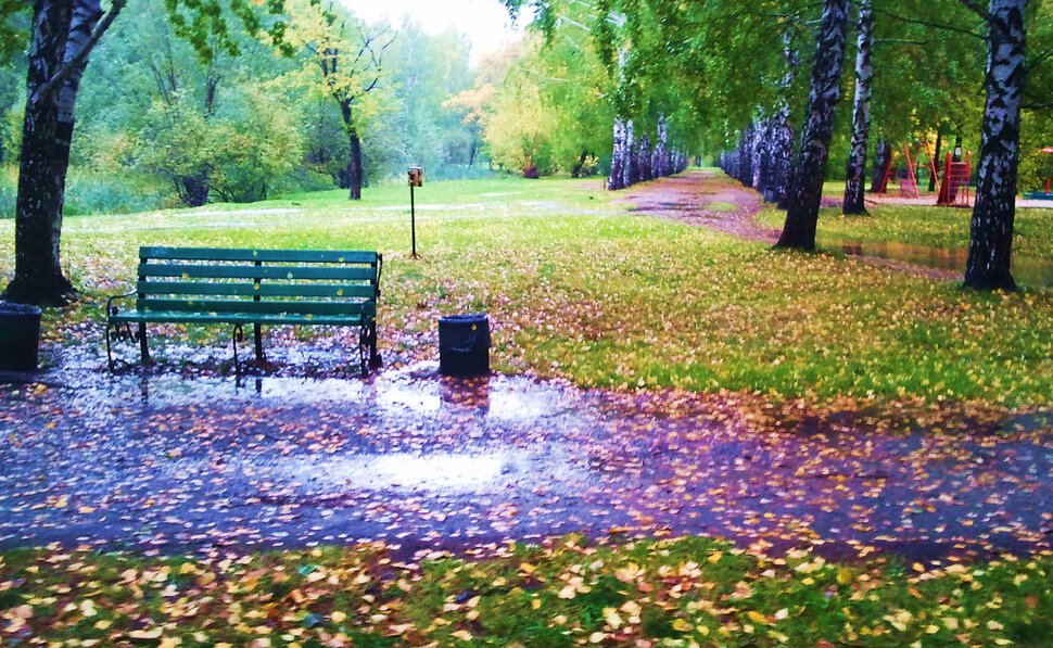 В парке дождь