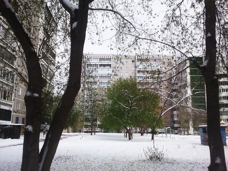 Во дворе