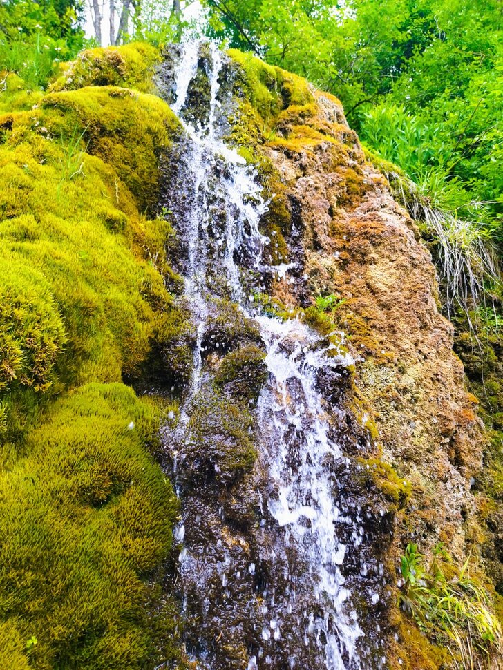 Лесной водопад