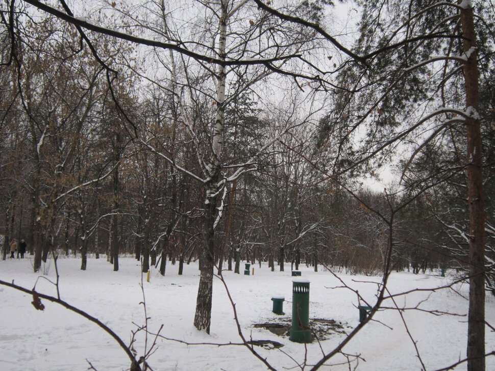 В зимнем парке