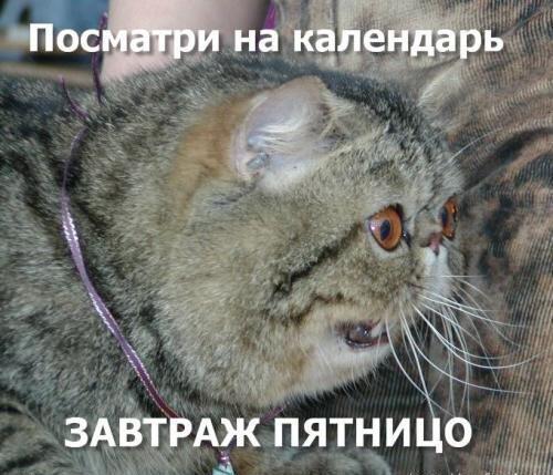Пятница 13