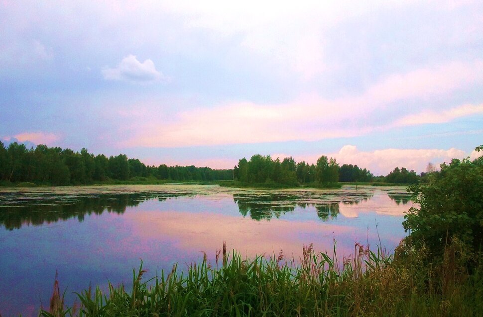 У реки