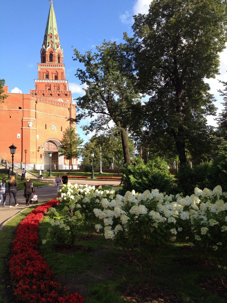 Александровский сад