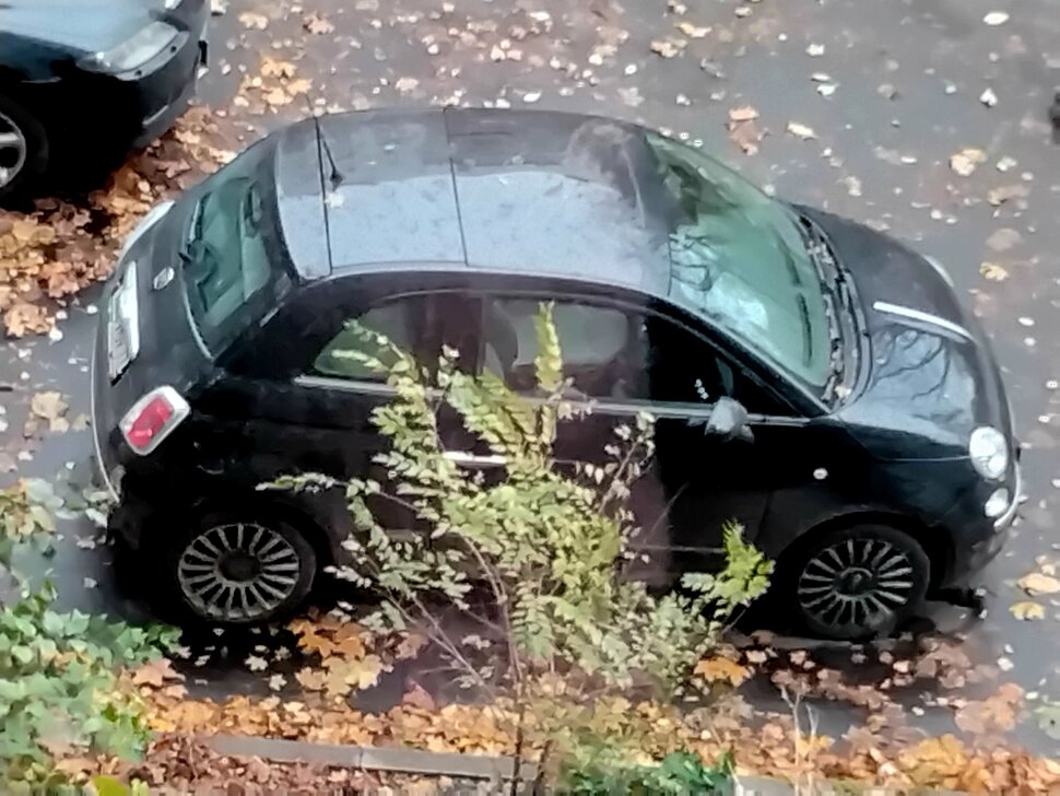 Чёрный FIAT 500