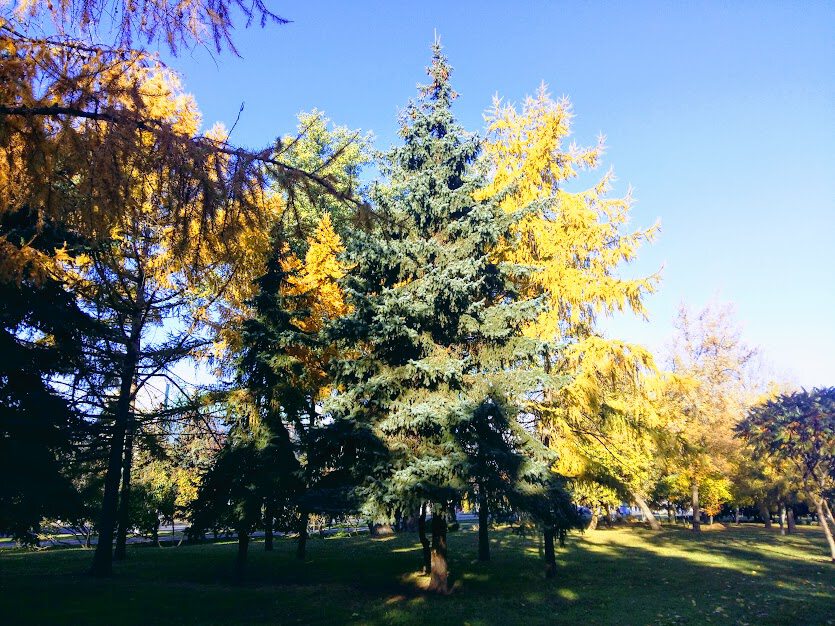 Городская осень