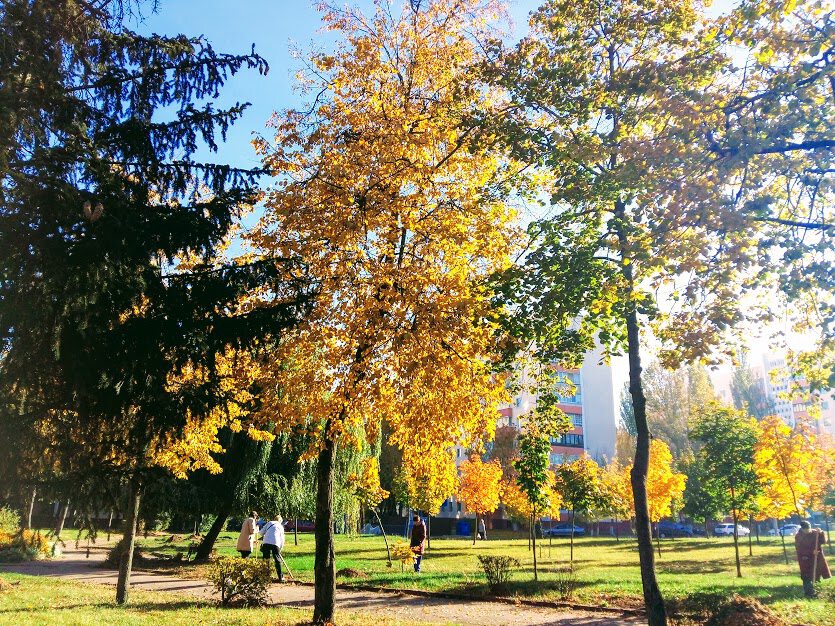 Городская осень