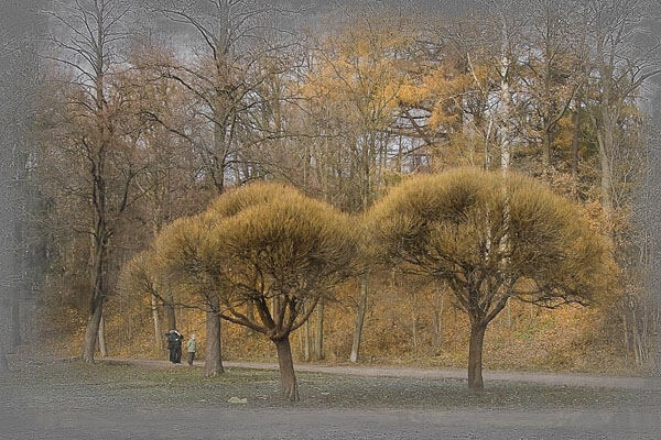 Ноябрь