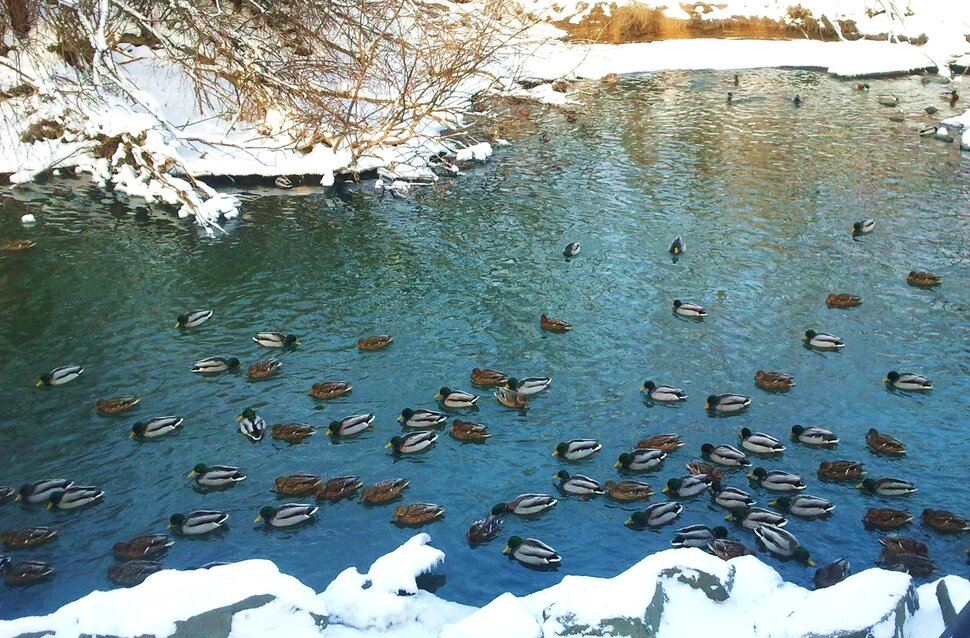 У реки