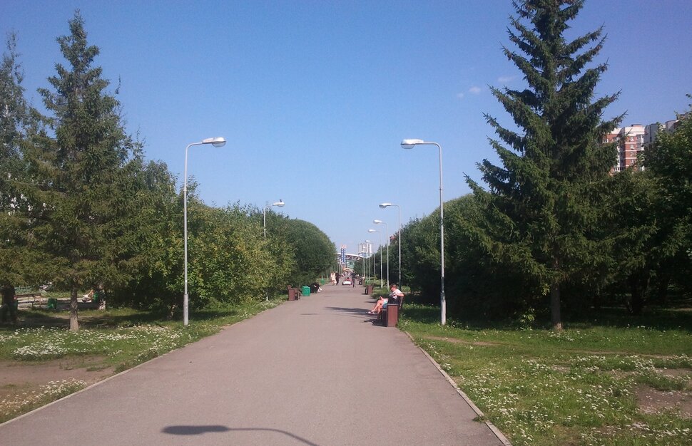 В парке летом