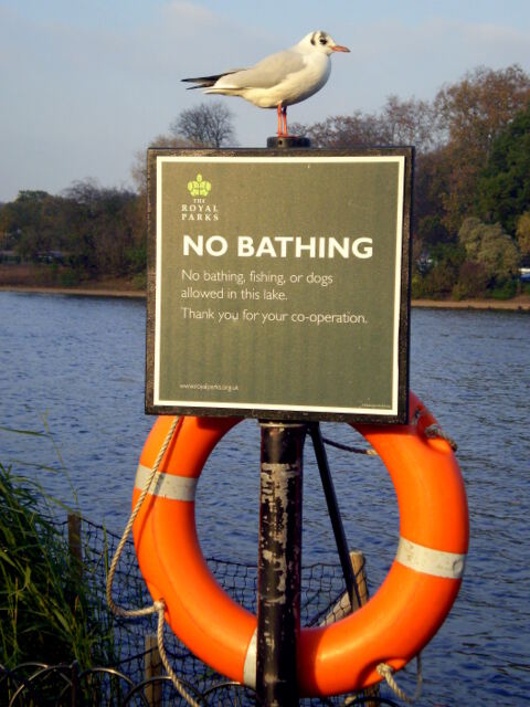 No bathing!