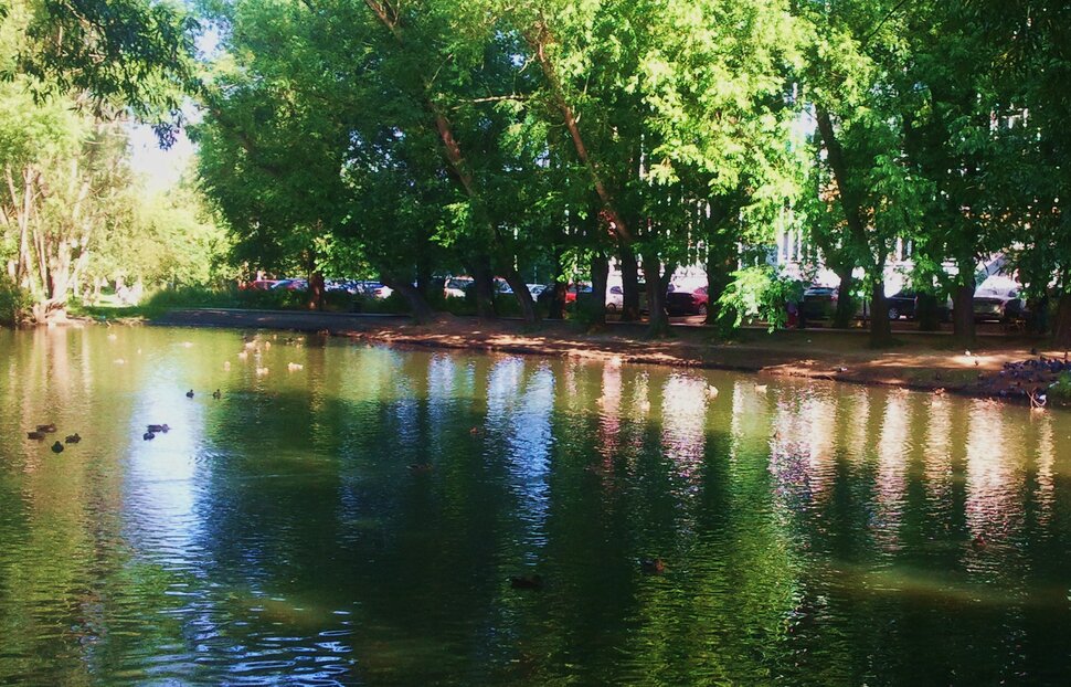 Осень в парке