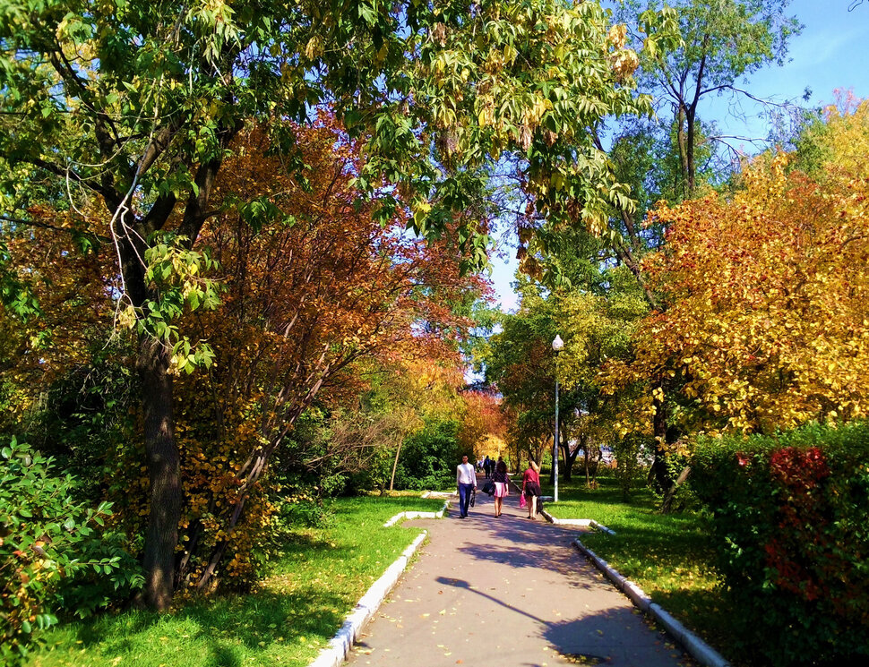 Солнечный осенний день