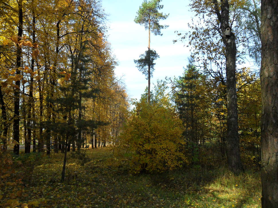 В осеннем парке Барыши-II