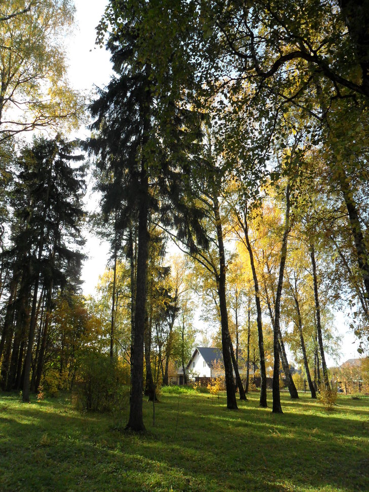В осеннем парке Барыши-II