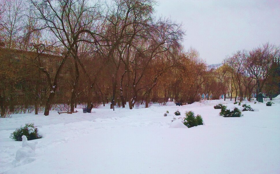 В заснеженном сквере