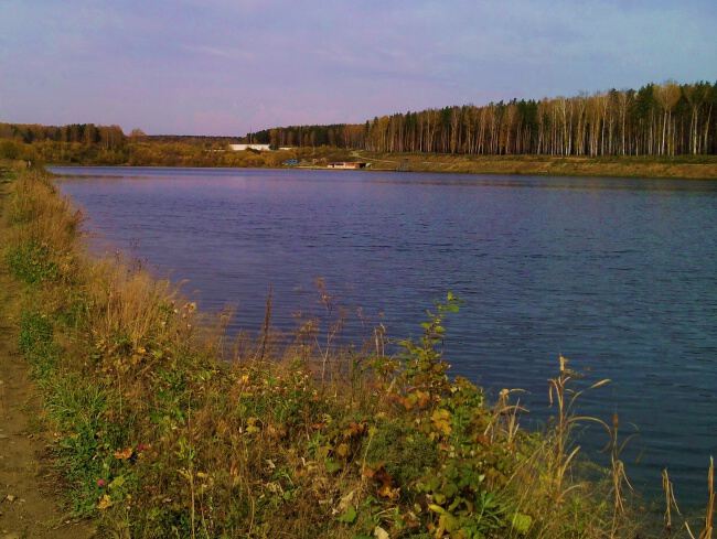 С природой