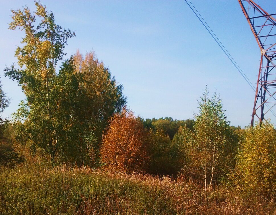 Сентябрь