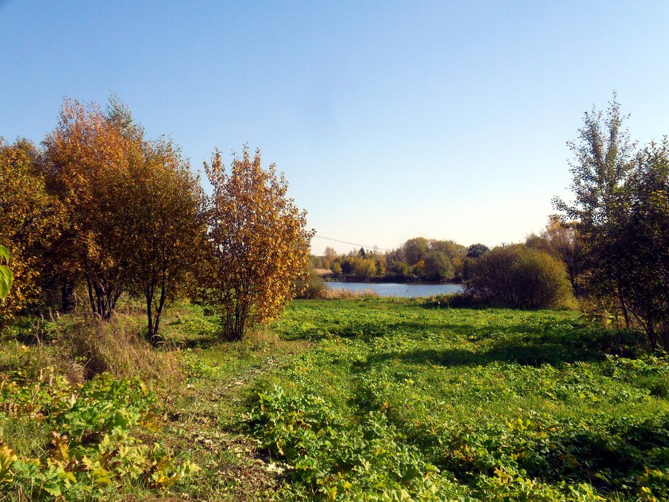 Солнцеликая осень в Чехове