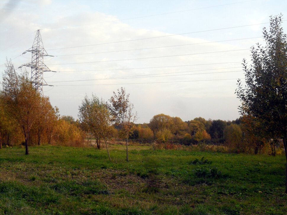 Солнцеликая осень в Чехове