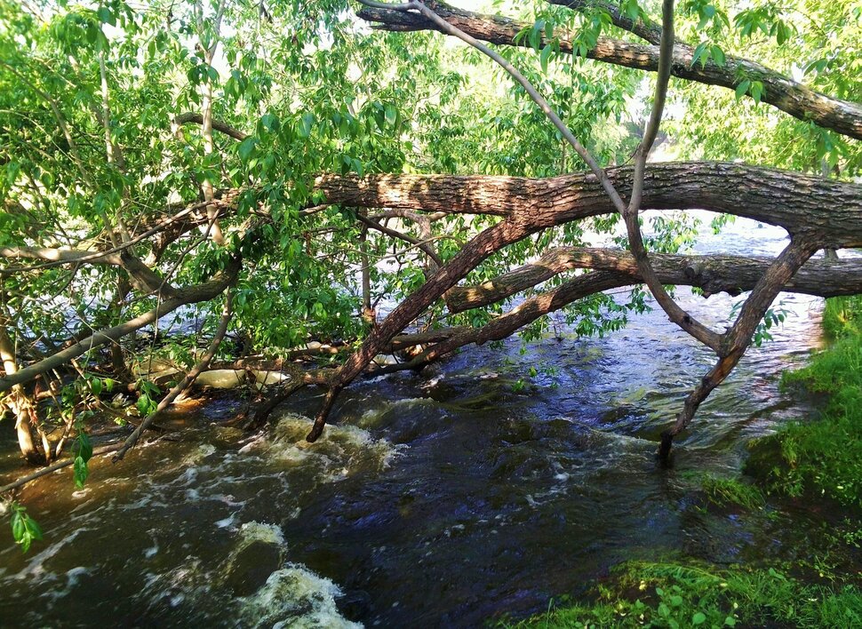 У реки