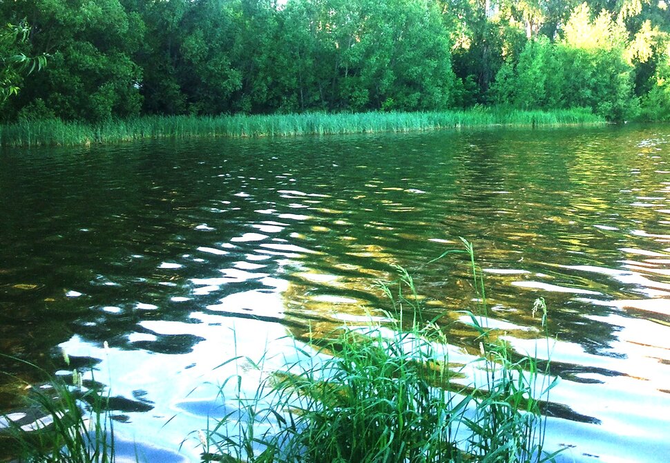 У реки