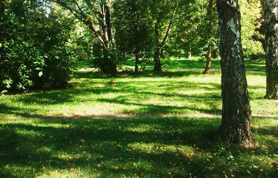 Сентябрь