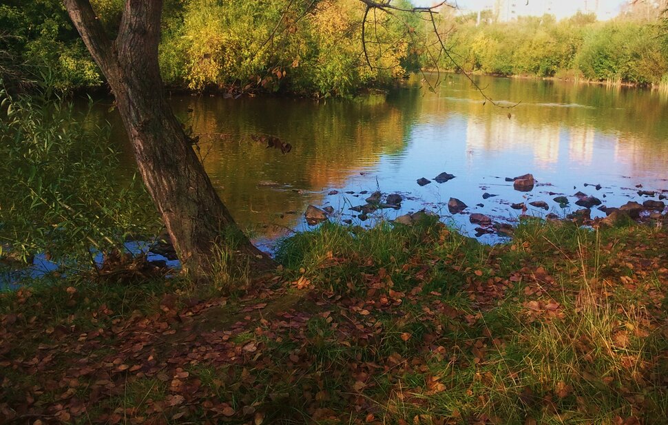 Осенью у реки