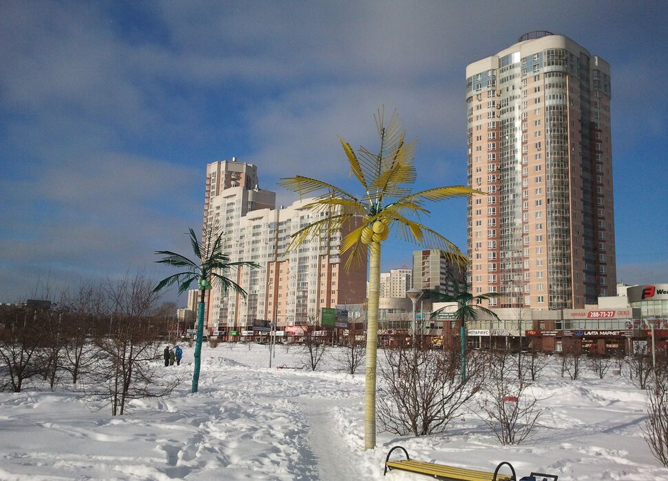 В парке