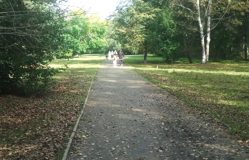 В парке
