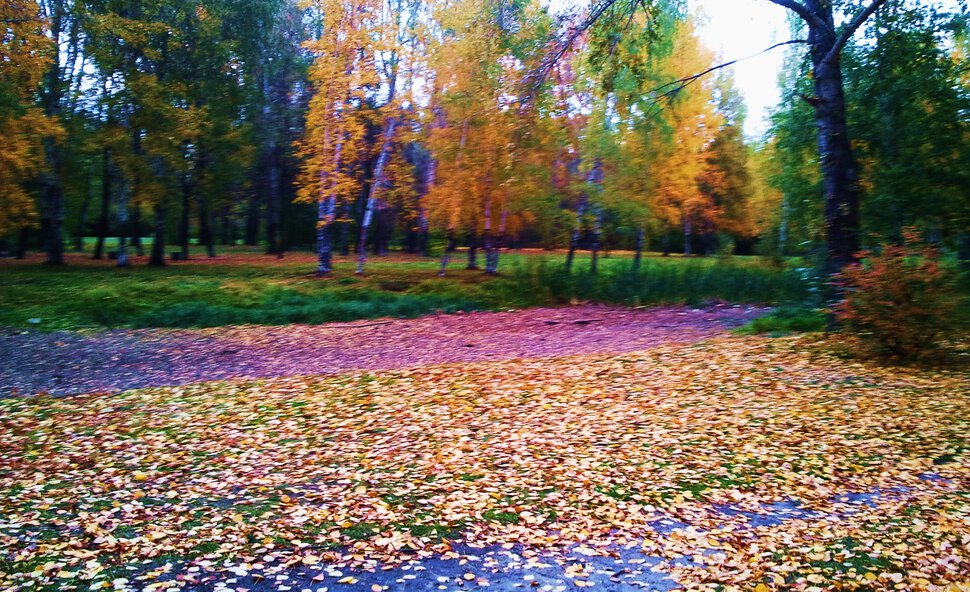Осеннее раздолье