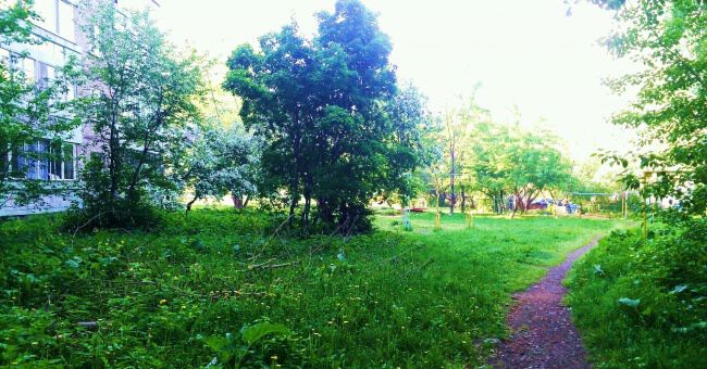 С природой