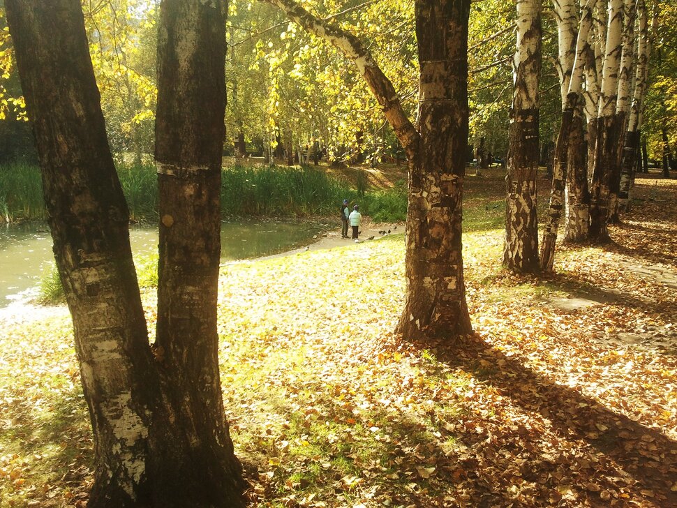 Сентябрь