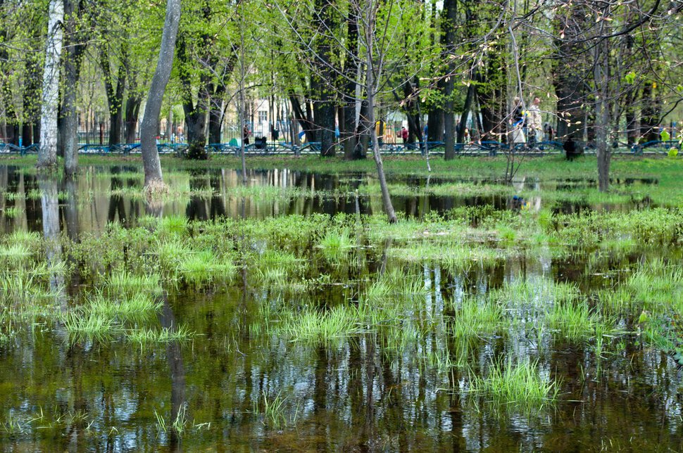 В окно повеяло весною