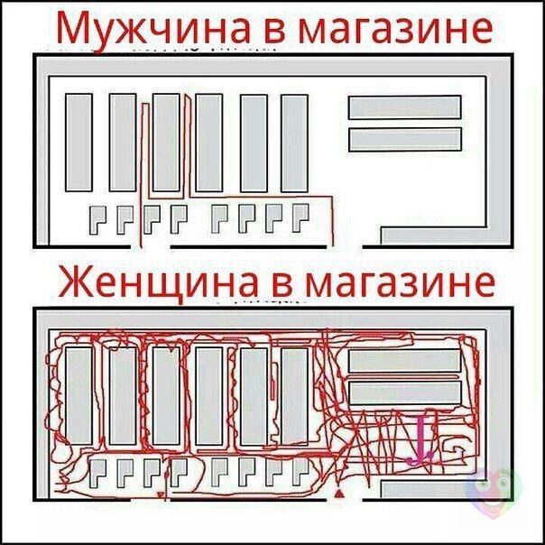 Женские приоритеты