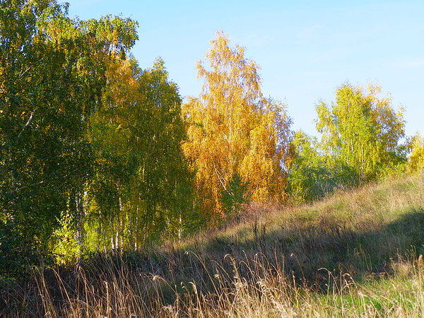 Природа Урала. Осень 2012