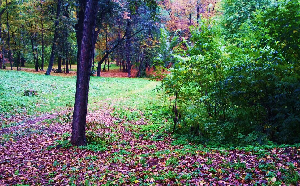 Загадочная осень